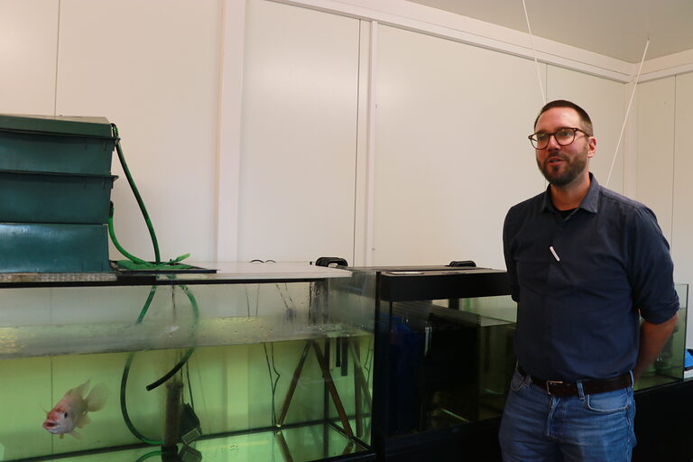 Doktor Haback steht neben den Forschungsaquarien im Aquaponiklabor der Hochschule Hof.