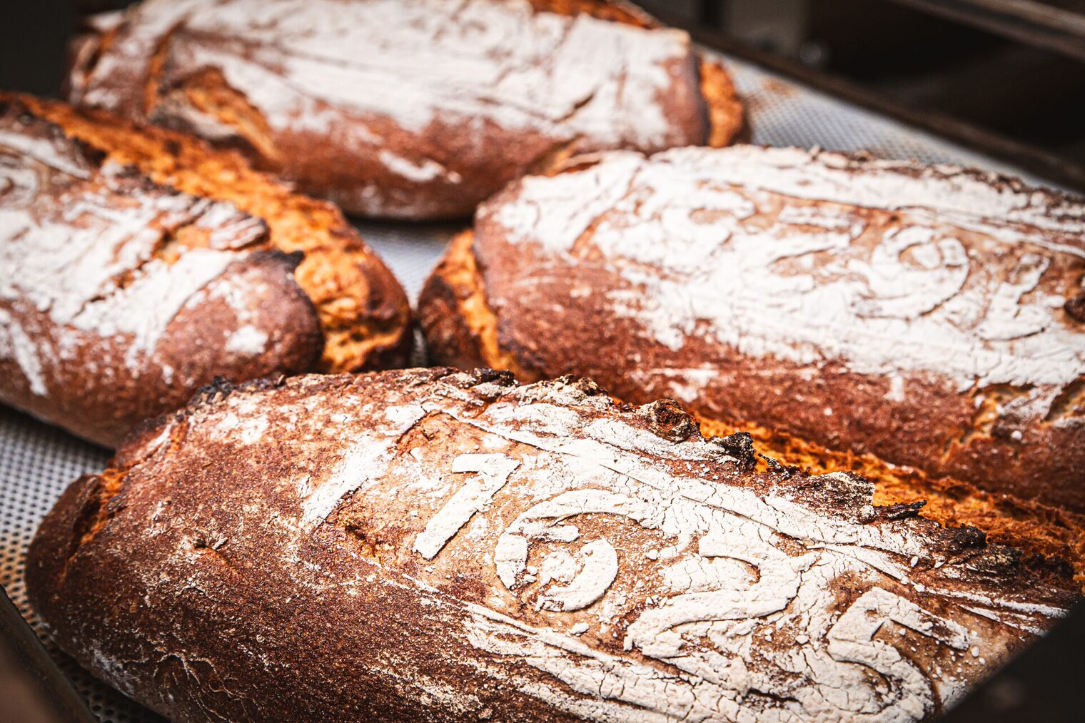 Das Jubiläumsbrot mit dem Aufdruck 1625 liegt im Ofen.