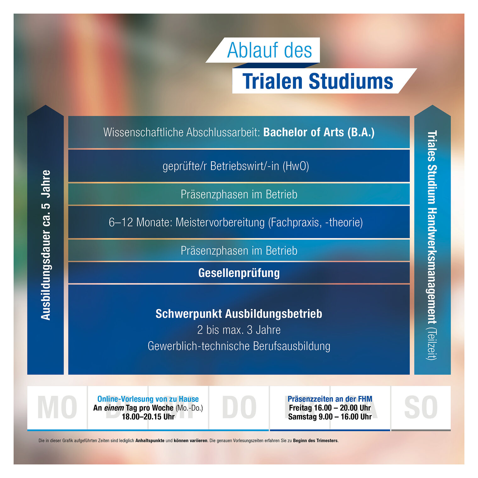 Flyer Triales Studium_Grafik_Ablauf